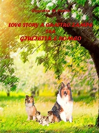 Love Story A Quattro Zampe Tra Giulietta E Romeo