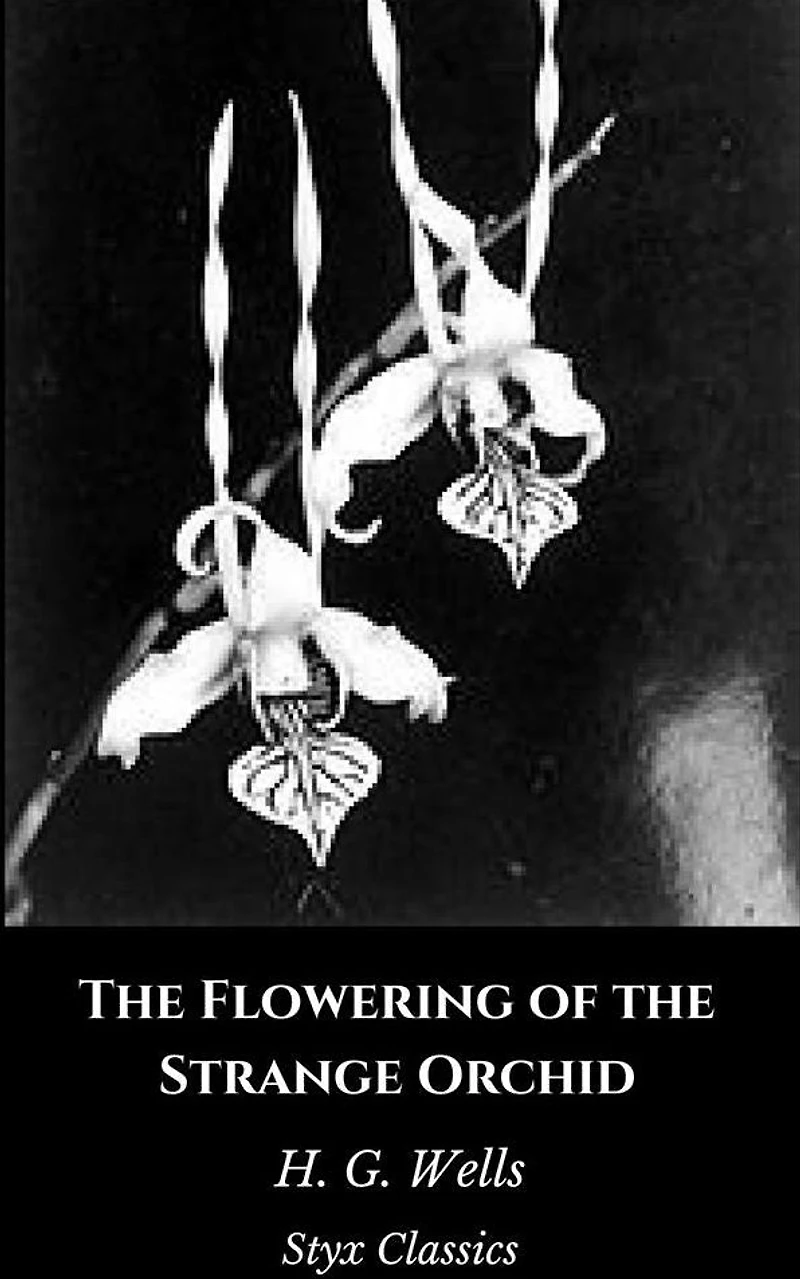 the Flowering of Strange Orchid (Illustrated)