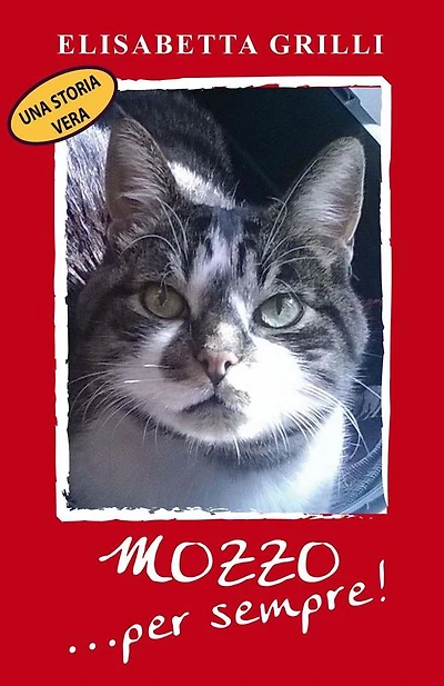 Mozzo ...per sempre!