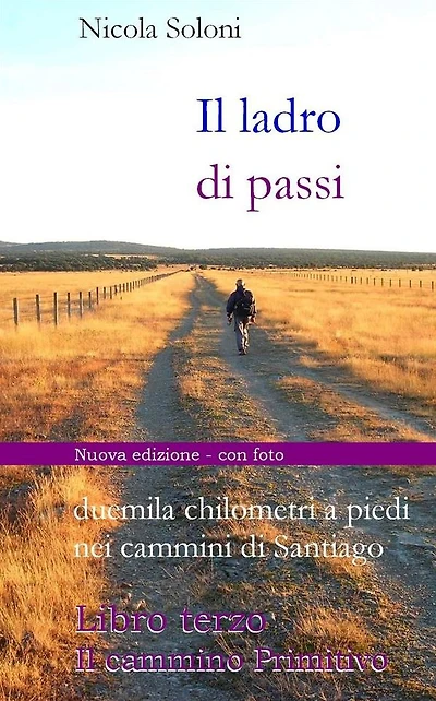 Il ladro di passi. Libro terzo. Il cammino Primitivo: Duemila chilometri a piedi nei cammini di Santiago (con foto)