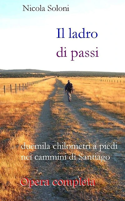 Il ladro di passi. Opera completa: Duemila chilometri a piedi nei cammini di Santiago