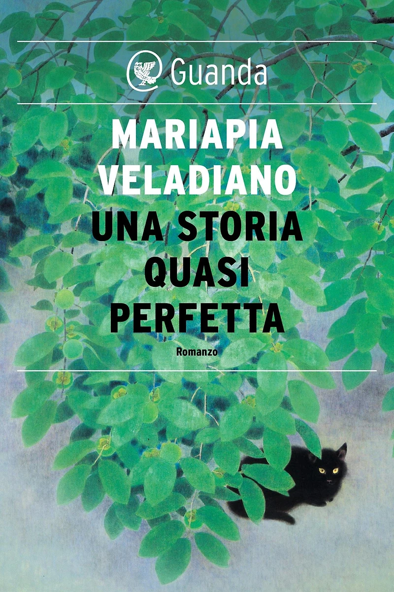 Una storia quasi perfetta