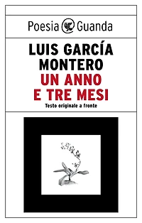 Un anno e tre mesi