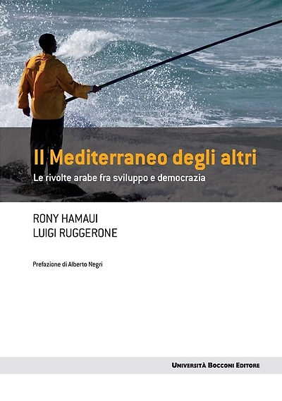 Il Mediterraneo degli altri: Le rivolte arabe tra sviluppo e democrazia