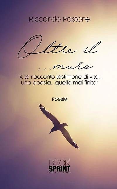 Oltre il ...muro