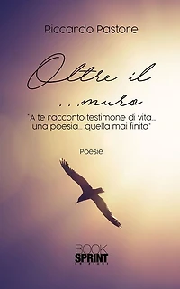 Oltre il ...muro