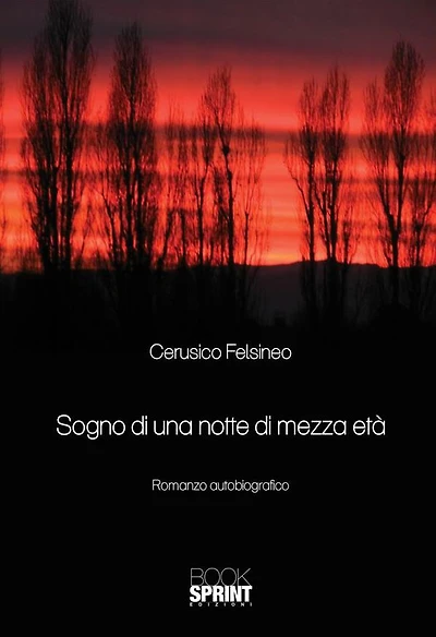 Sogno di una notte di mezza eta