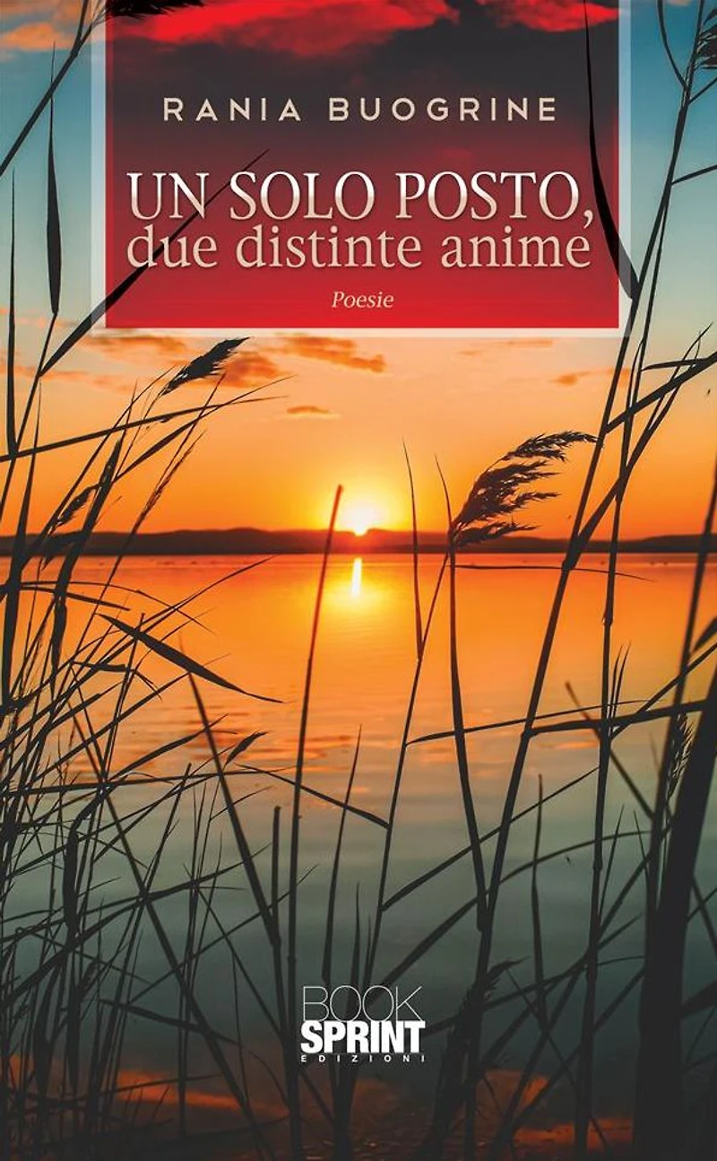 Un solo posto, due distinte anime