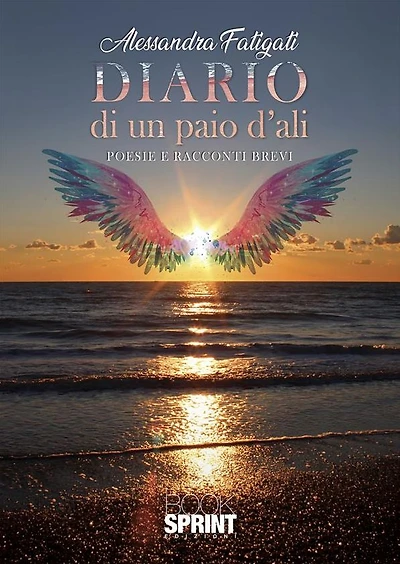 Diario di un paio d'ali