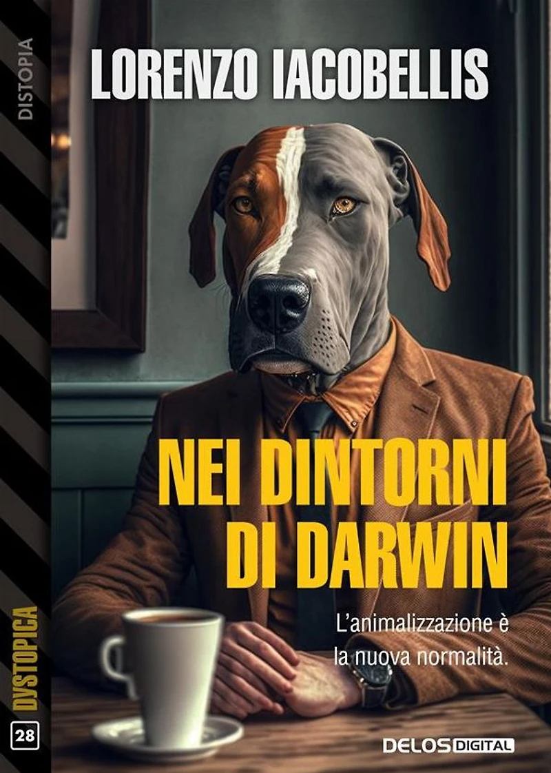 Nei dintorni di Darwin