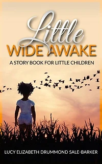 Little Wide Awake - A story book for little children