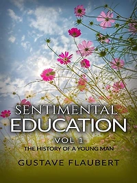 Sentimental Education, or The History of a young man Vol 1