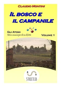 Il bosco e il campanile: Gli atomi: microromanzi per chi va di fretta