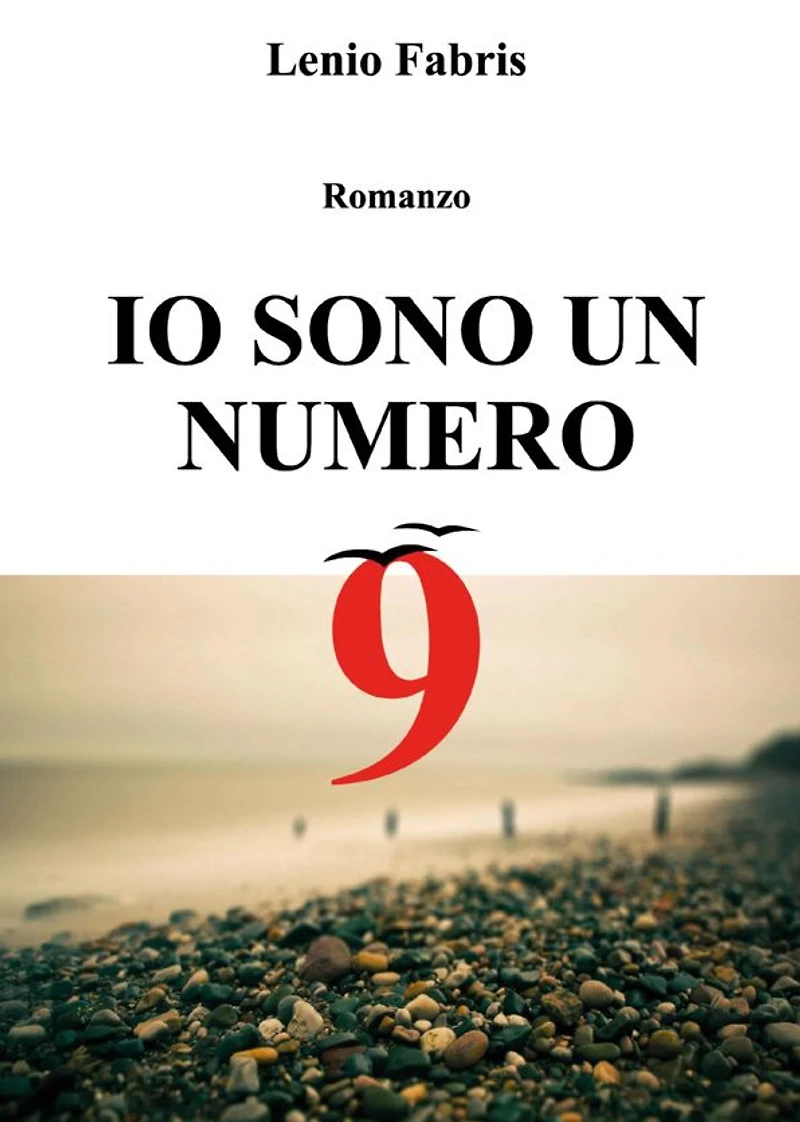 Io sono un numero 9