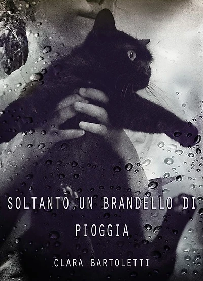 Soltanto un brandello di pioggia
