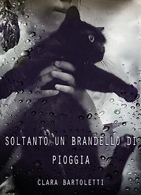 Soltanto un brandello di pioggia