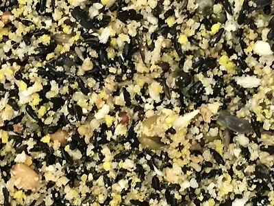 Manuale sulla preparazione di pastonate per canarini durante la riproduzione: Ricette con alimenti freschi di stagione, sperimentate nel nostro allevamento