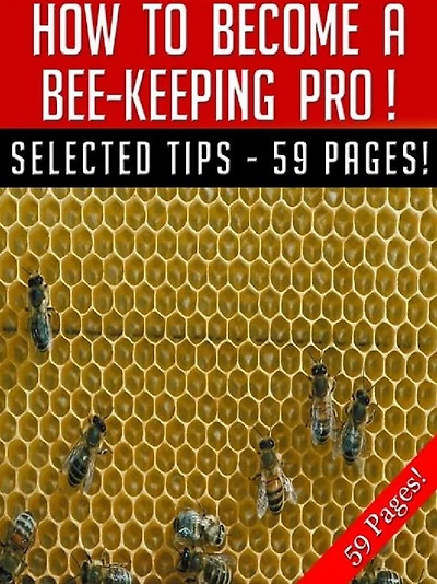 How To Become A Bee-Keeping Pro!
