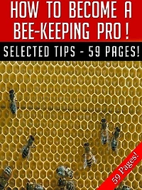 How To Become A Bee-Keeping Pro!