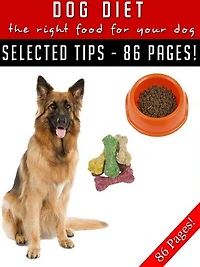 Dog Diet - The Right Food For Your Dog