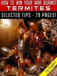 How To Win Your War Against Termites