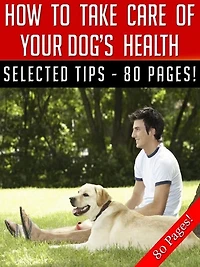 How To Take Care Of Your Dog's Health