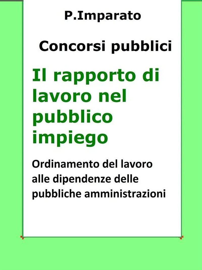 Il rapporto di lavoro nel pubblico impiego: Sintesi aggiornata per concorsi pubblici
