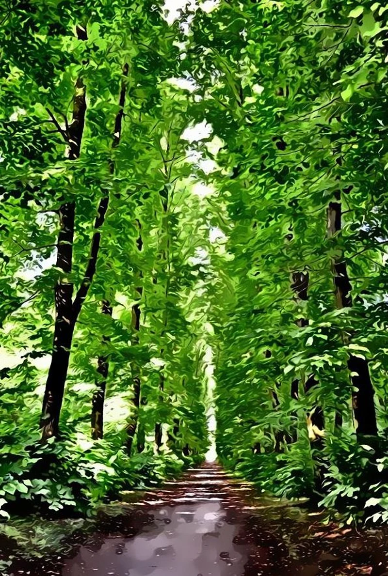 il parco magico