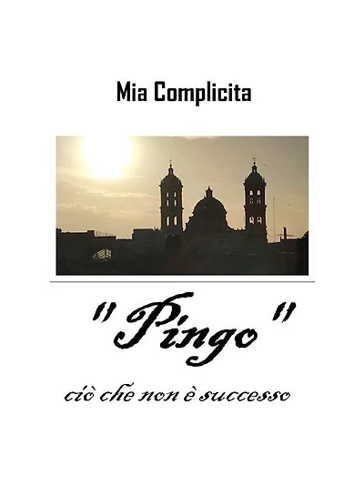 " Pingo ": cio che non e successo
