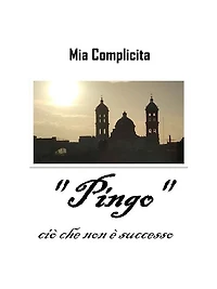 " Pingo ": cio che non e successo