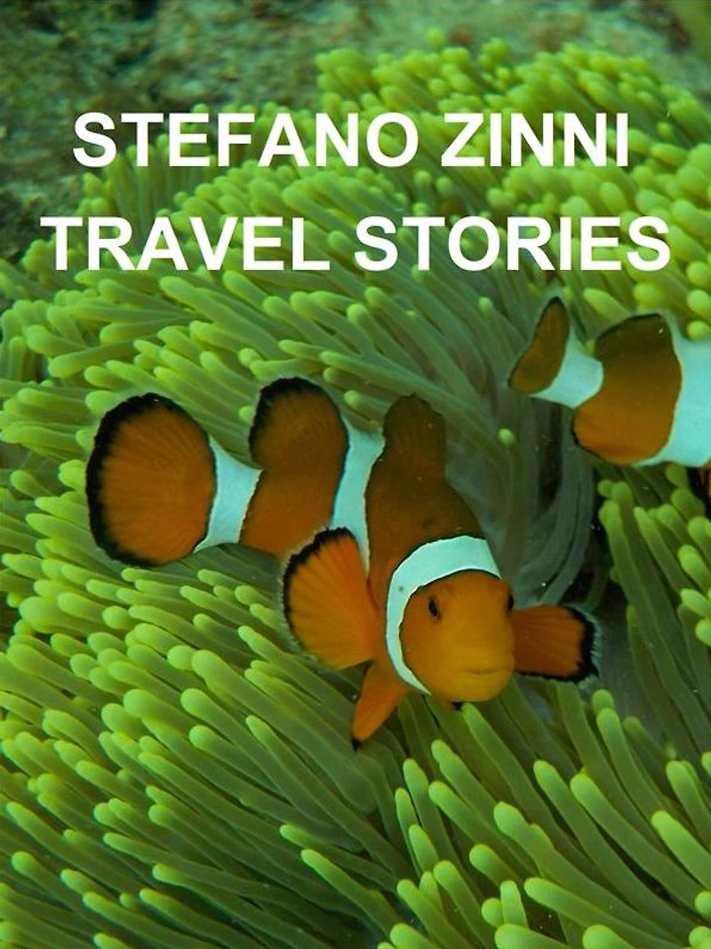 Travel stories