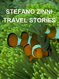 Travel stories