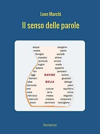 Il senso delle parole: Romanzo