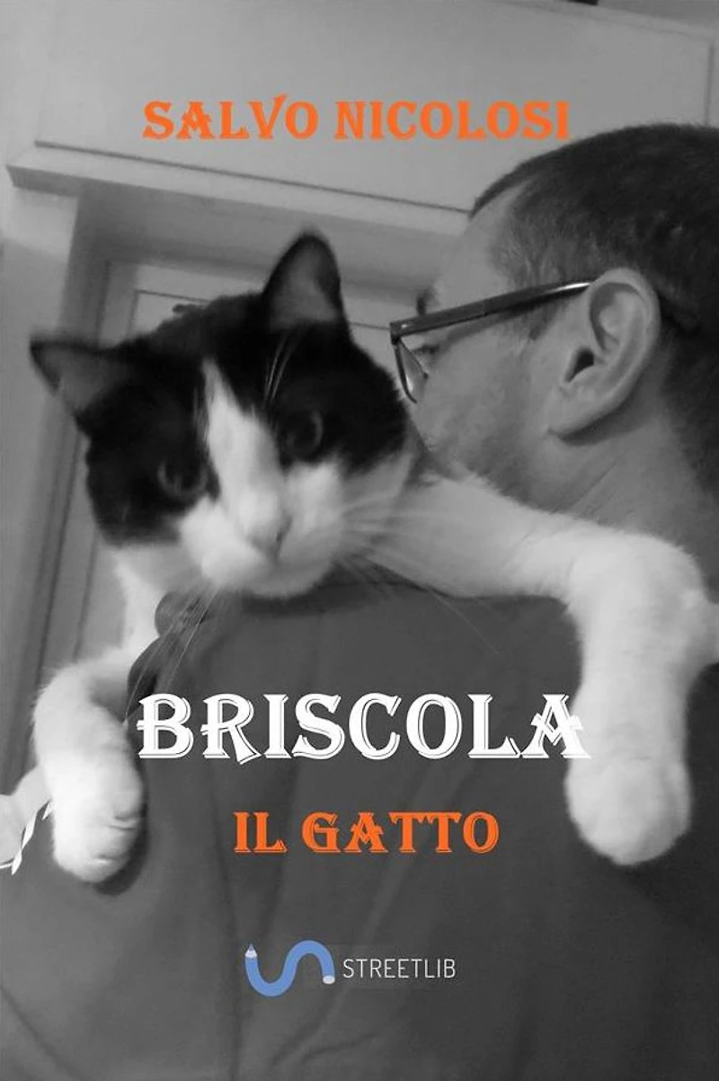Briscola il Gatto