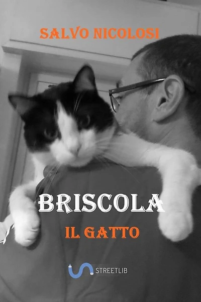 Briscola il Gatto