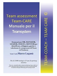 Team Assessment Team CARE: Manuale per il Teamsystem