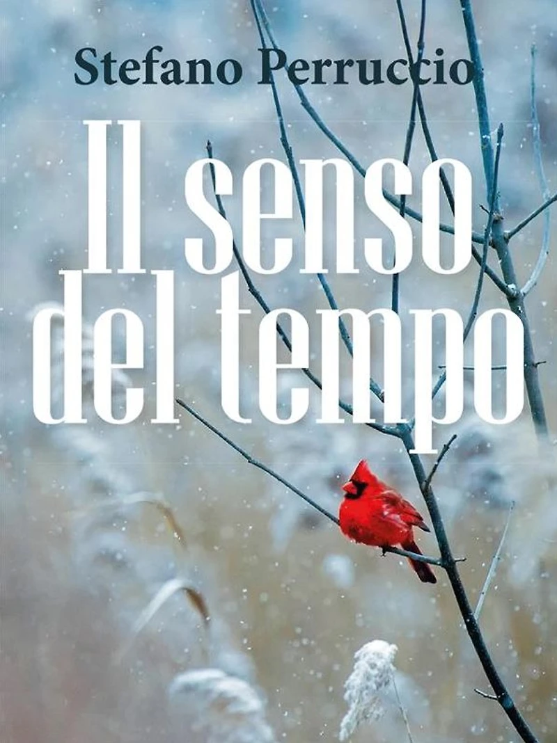 Il senso del tempo