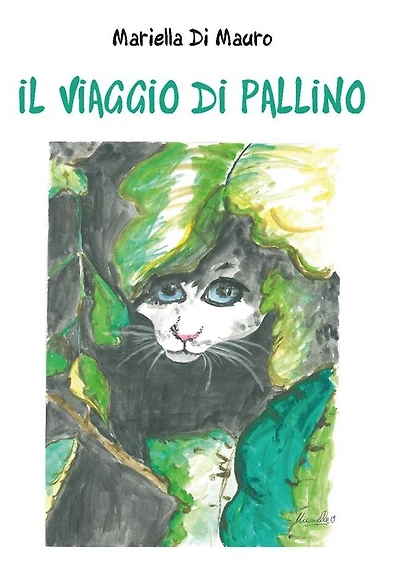 Il viaggio di Pallino