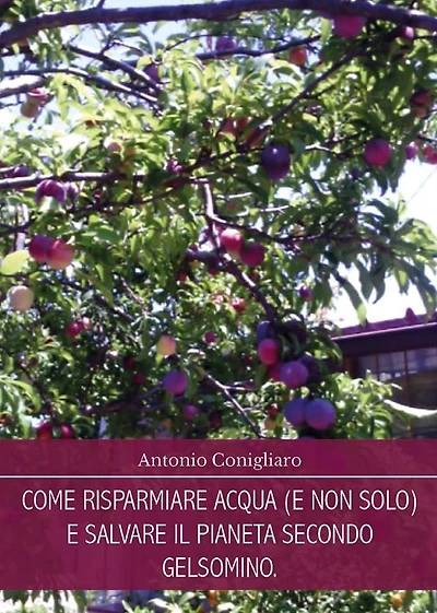 Come risparmiare acqua (e non solo) e salvare il pianeta secondo Gelsomino