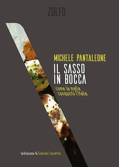 Il sasso in bocca: come la mafia conquistò l'Italia