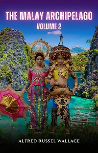 The Malay Archipelago, Volume 2.