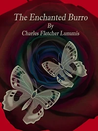The Enchanted Burro