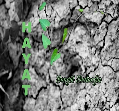 H a Y a T