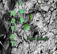 H a Y a T