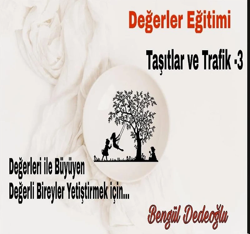 3.Coklu ZEKA EGITIM SETI (Trafik)
