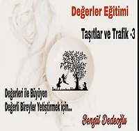 3.Coklu ZEKA EGITIM SETI (Trafik)