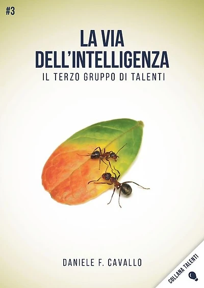 La via dell'Intelligenza: Il terzo gruppo di Talenti