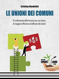 Le Unioni dei Comuni: Il conferimento delle funzioni per una ricerca di maggiore efficienza ed efficacia dei servizi