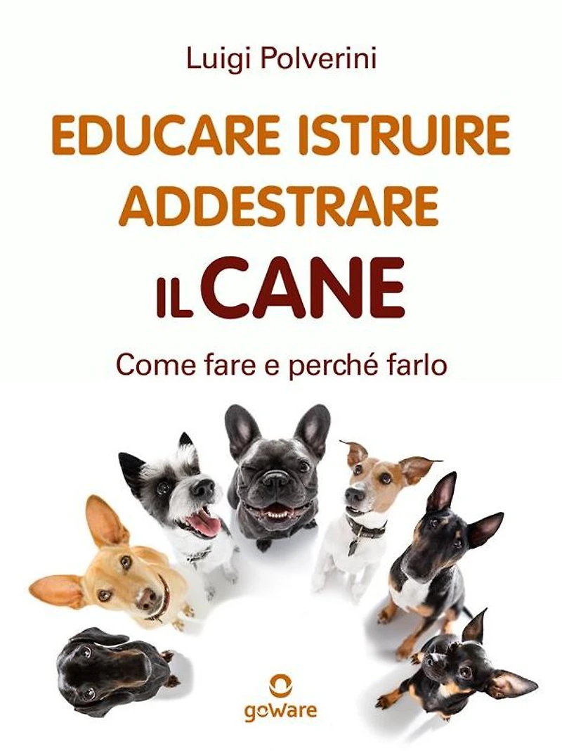 Educare, istruire, addestrare il cane. Come fare e perché farlo