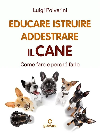 Educare, istruire, addestrare il cane. Come fare e perché farlo